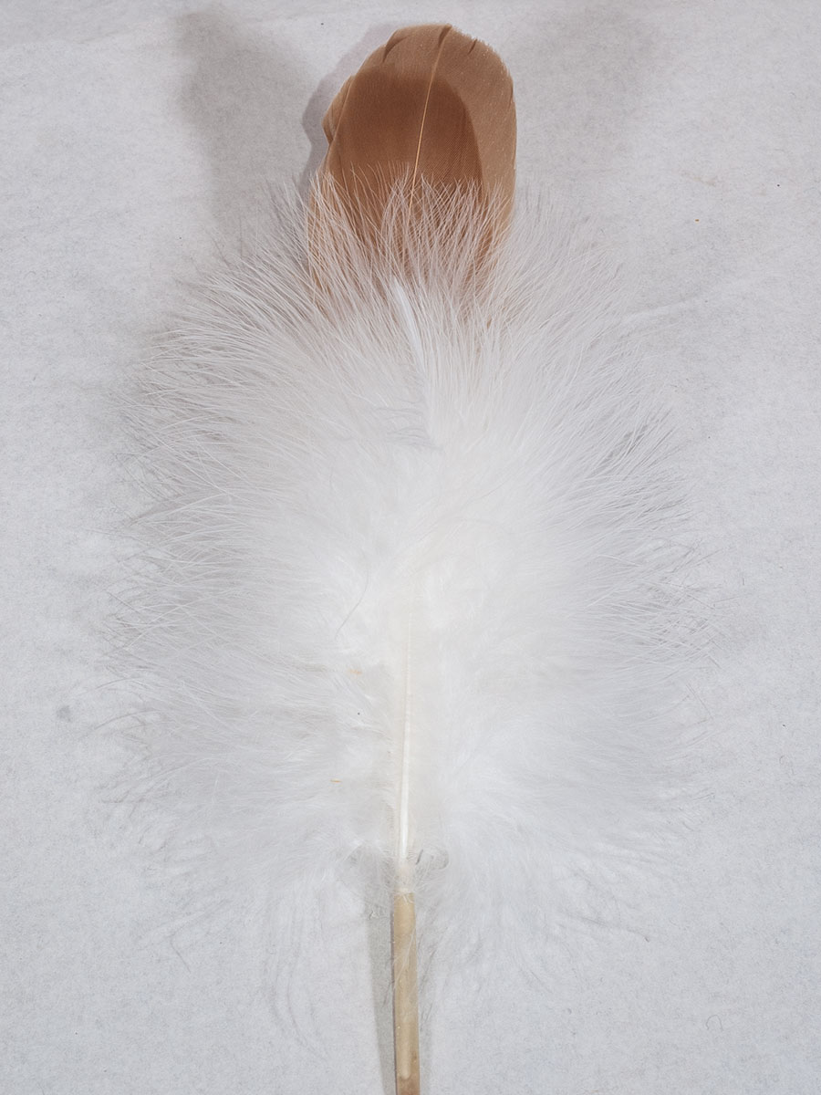 Reinl Josef Naturfeder für Kinder, Flaumfeder, Hutschmuck, 2-fach, 25cm